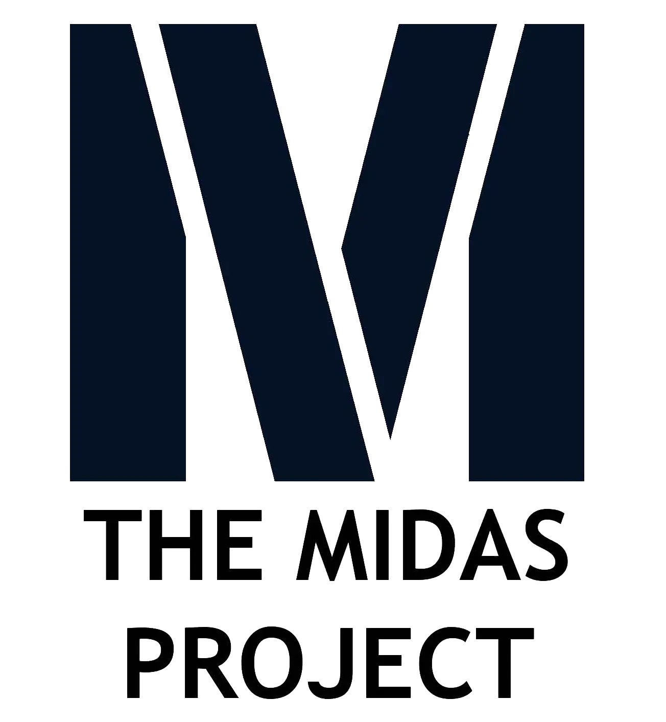 Logo for The Midas Project